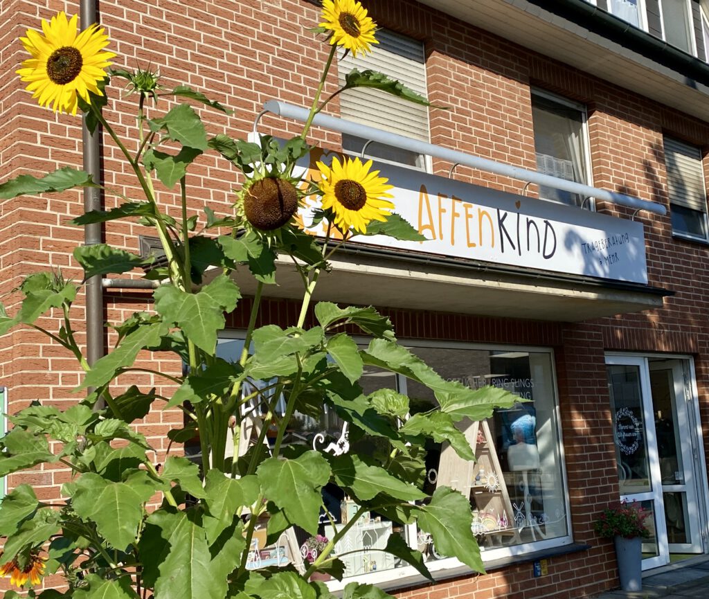 Affenkind Bad Oeynhausen – Außenansicht des Ladens für Kindersitz- und Trageberatung